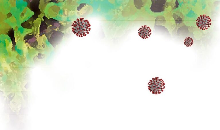 The Virus and the Bible