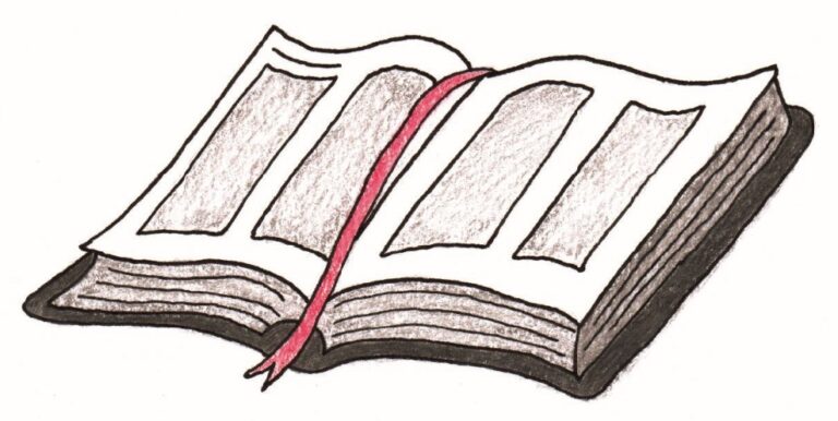 What is Your Bible Like?