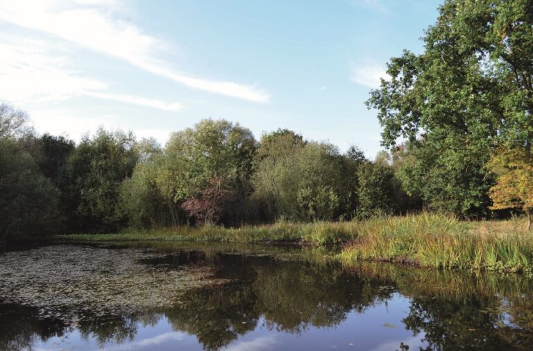 Eve – Mother of all Living